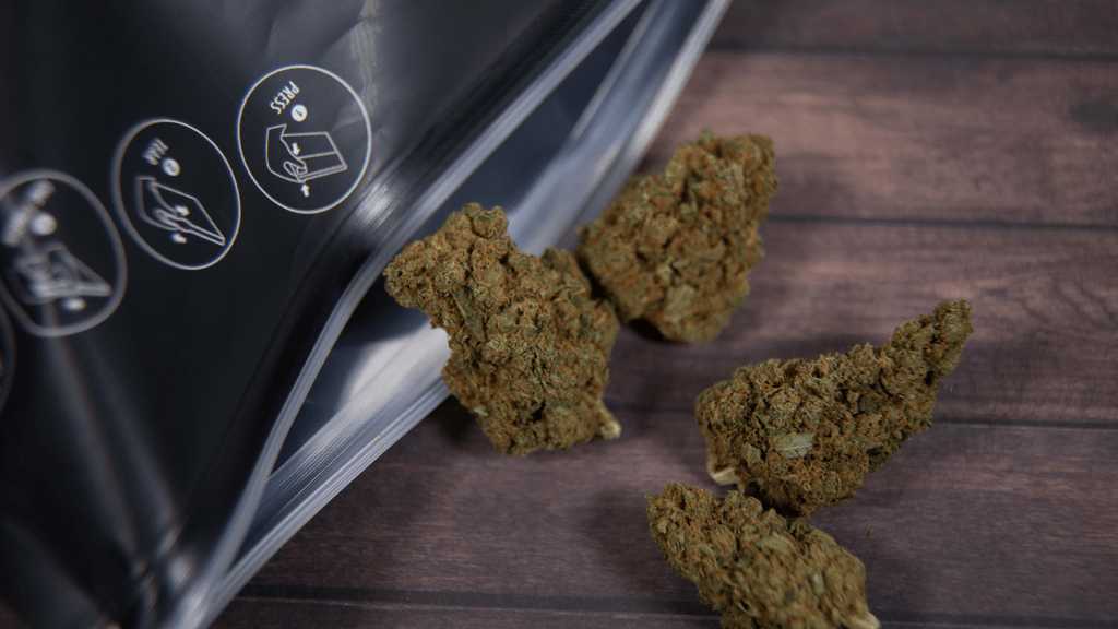 The Coach’s Perspective: Cannabis, Performance, and Fighter Safety